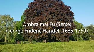 Handel Ombra mai Fu Serse [upl. by Kcin]