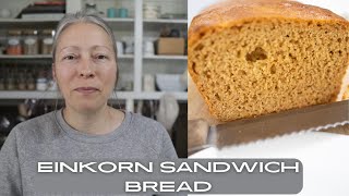 How to make and easy EINKORN sandwich loaf [upl. by Einapets]