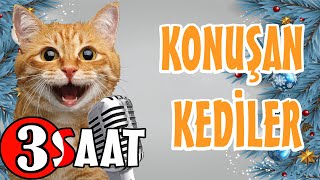 Konuşan Kediler 3 Saat  Sinema Tadında Komik Kedi Videoları [upl. by Laurinda]