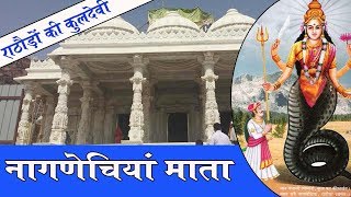 Nagnechi Mata Mandir Nagana  Rathore Kuldevi Nagnechiyan Mata  राठौड़ों की कुलदेवी नागनेचियाँ माता [upl. by Goles]