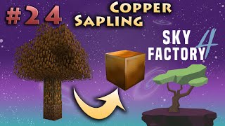 Part 24 Copper Sapling Minecraft Sky Factory 4 [upl. by Mailliwnhoj]