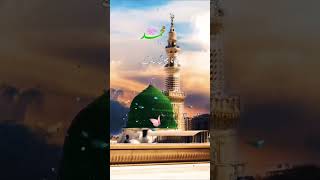 Hara Gumbad Jo dekhoge to aana Bhul jaaoge YouTubeshots status virar video MdMujahid75 [upl. by Tews243]