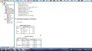 How to calculate a 2x2 Factorial ANOVA using SPSS [upl. by Notxam760]