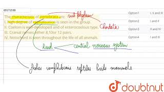 The characteristic of Vertebrata are I high degree of cephalisation is seen in the group [upl. by Kinom517]