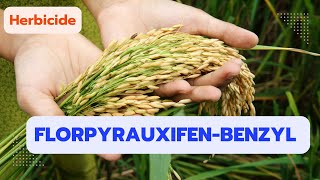 Florpyrauxifenbenzyl A Herbicide for Rice and Aquatic Weed Control [upl. by Ellehcin58]