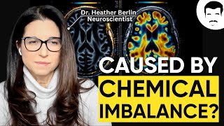 The Neuroscience of Depression with Neil deGrasse Tyson amp Heather Berlin [upl. by Amlet]