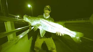 Fishing at Night for Giant Snook  I Caught My PB [upl. by Messab873]