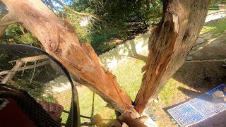 Removing a FAILED cedar [upl. by Nesyrb88]