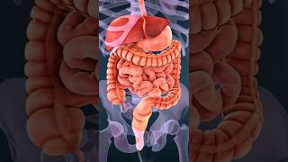 Vitamin B12 की deficiency को दूर करने के लिए 4 Veg option drrobin facts swasthy dietfood health [upl. by Ihc717]