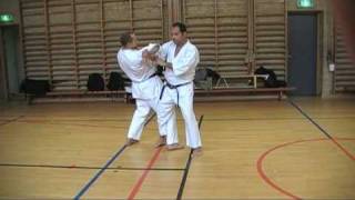 Heian Sandan Bunkai [upl. by Florin]