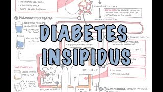 Diabetes Insipidus  Overview causes pathophysiology investigations [upl. by Lyman]