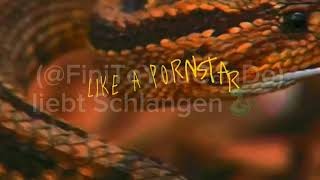 Schlangen Edit von FiniToYouCanDo❤️🐍 [upl. by Hephzibah]