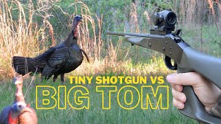 410 Turkey Hunt Takes Down Big Osceola [upl. by Nassi614]