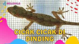 🔴 LAGU CICAK CICAK DI DINDING  Lagu Anak Balita  Lagu Anak Indonesia  Lagu Anak [upl. by Floyd]