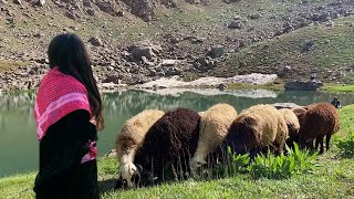 Hawar Delal  Dengbej Lokman 💐 KÜRTÇE YENİ KLİP  Dengbeji Uzun Hava Türküsü [upl. by Barcot869]