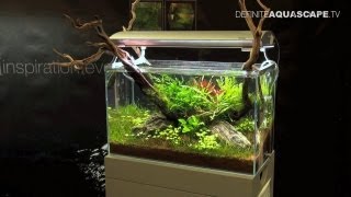 Aquascaping  Aquarium Ideas from Aquatics Live 2011 part 4 [upl. by Nagyam453]