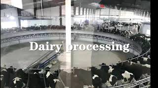 Milk Processing  Milk Processing Plant  Milk Production Process  Milk Process from Cow to Bottle [upl. by Massarelli610]