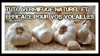 TUTO  Comment faire un vermifuge simple naturel et efficace [upl. by Newton]