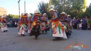 Danza los caballitos en Rancho Grande Fresnillo Zacatecas [upl. by Nnaes]