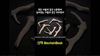 죽은 자들의 공간 스톤헨지Stonehenge 살아 있는 자들의 공간 우드헨지Woodhenge [upl. by Susi]