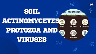 Soil actinomycetes protozoa and viruses microbes microorganisms [upl. by Harelda]