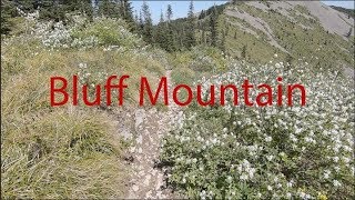 Bluff Mountain to 173 [upl. by Stanwin330]