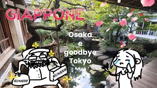 Osaka ancora un po di Tokyo e arrivederci Giappone [upl. by Eignav]