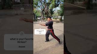 Double Zero Strike  Doblada arnis striking [upl. by Ayoted]