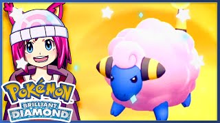 MY FIRST BDSP SHINY✨ SHINY MAREEP✨  LIVE REACTION POKEMON BDSP [upl. by Eatnad822]