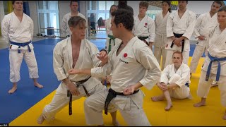 Hotton sensei Aiki Karate France 2023 [upl. by Geoffry]