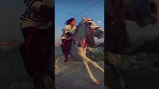 KATHIYAWADI HORSE 🐎 STATUS ♥️lovely song amazing 😍 kathiyawadihorse horse shortvideo horselover [upl. by Conroy133]