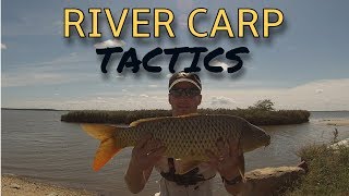 Where to FIND CARP in RIVERS River Carp Tactics [upl. by Mellie491]