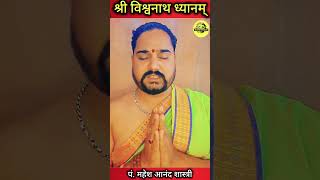 श्री विश्वनाथ ध्यानम्।। काशी विश्वनाथ ध्यान ।। Mantra।। [upl. by Celestia]