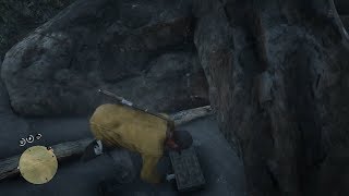 LVL 10 TREASURE MAP  LOCATION RDR2 Online [upl. by Hose]