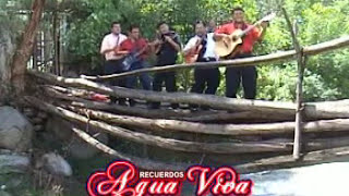 AGUA VIVA Mix de huaynos 1 Apurimac [upl. by Fitalludba]