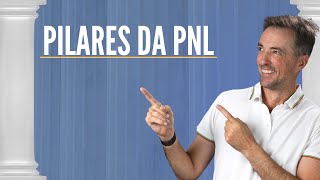 Conheça os Pressupostos da Programação Neurolinguística  Pilares da PNL  Edi Born  Pnl na prática [upl. by Yoo]