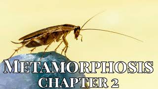 Metamorphosis by Franz Kafka  Chapter 2 Audiobook 1915 [upl. by Rojas947]