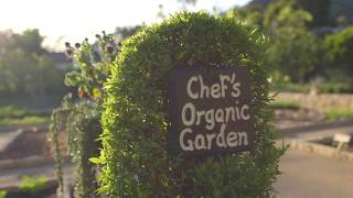 San Ysidro Ranch From Garden to Table [upl. by Budd216]