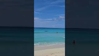 Bimini Bahamas Best Beach on the Island travel bimini tour beach bahamas playas [upl. by Wyatt887]