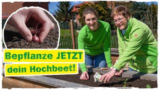 HOCHBEET BEPFLANZEN Diese Pflanzen kannst du jetzt anbauen 👩‍🌾 [upl. by Carey677]