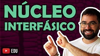 Núcleo Interfásico  Aula 30  Módulo I Biologia Celular  Prof Gui [upl. by Averir934]