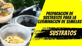 Preparacion de Sustratos para la Germinación de semillas y uso de Turba [upl. by Irrok952]