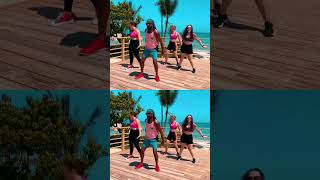 Best song for Punta Cana 🇩🇴watatah zumba dreamsfloraresort [upl. by Louanna115]