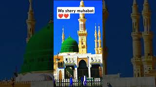 Wo shary muhabat ❤️❤️❤️trending muhammad madina viralvideos shorts freepalestine🇵🇸 [upl. by Notelrac]