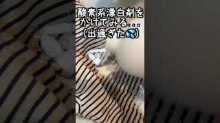 買ったばっかりの服にブルーベリー果汁がついたら シミ落とし術 洗濯 ライフハック shorts シミ抜き [upl. by Blondell]