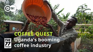 Ugandas coffee farmers strike green gold [upl. by Francklin]