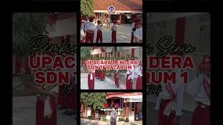 Pembiasaan Hari Senin Upacara Bendera SDN Tegalarum 1 Kec Mranggen19 Agustus 2024 upacara senin [upl. by Otilrac102]