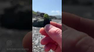 Nephrite JADE 💚🖤💚 jade nephrite nephritejade rockhounding california beachcombing lapidary [upl. by Aramit]