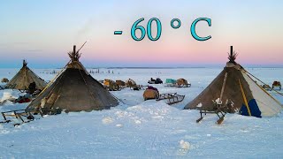 How Russia Far North Nomads live in 60° Russia nowadays life [upl. by Florry]