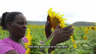 Sebei Farmers SACCO Uganda 2024 [upl. by Aliahs]